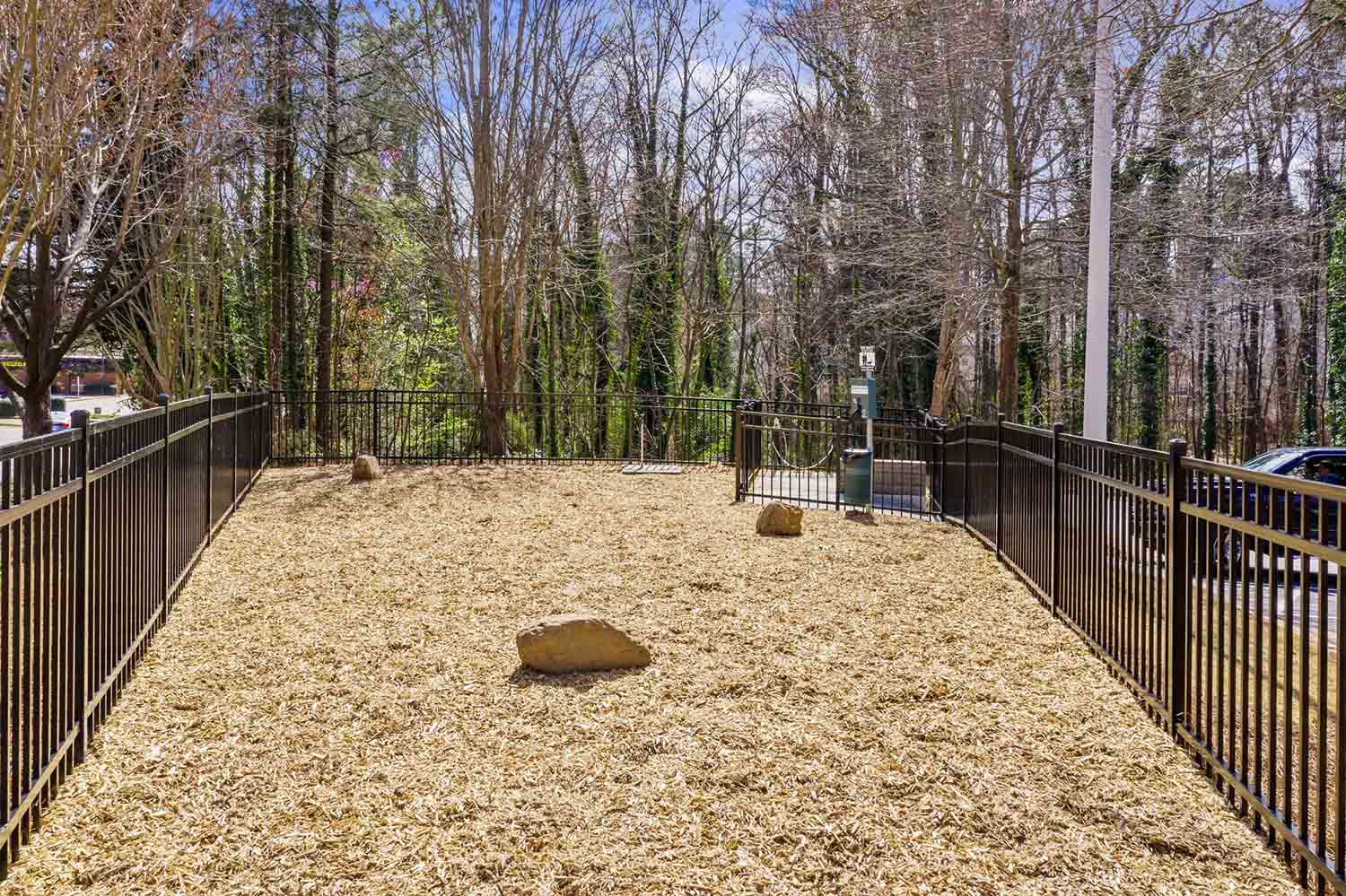 Blue Hill dog park